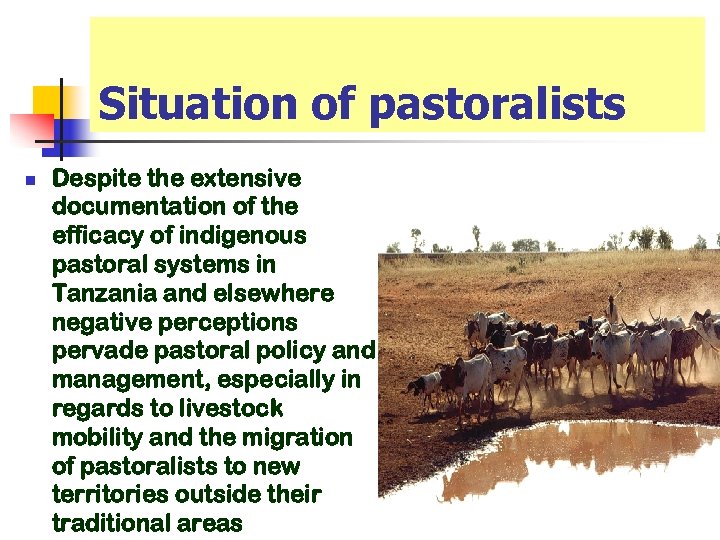 Situation of pastoralists n Despite the extensive documentation of the efficacy of indigenous pastoral