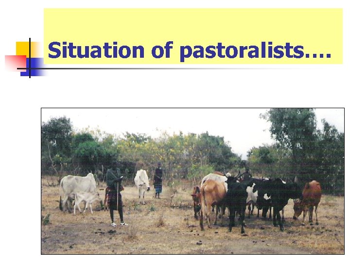 Situation of pastoralists…. n The Pastoral Masai in action 