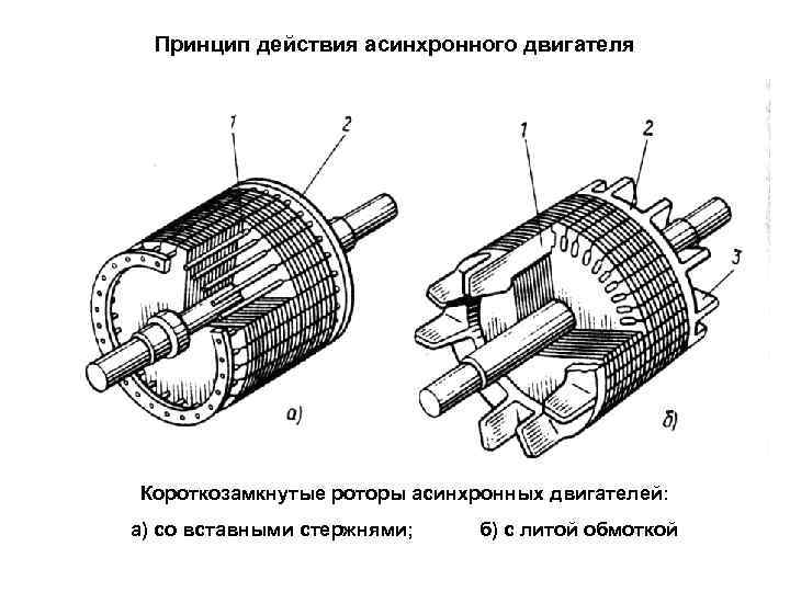 Принцип действия асинхронного двигателя Короткозамкнутые роторы асинхронных двигателей: а) со вставными стержнями; б) с