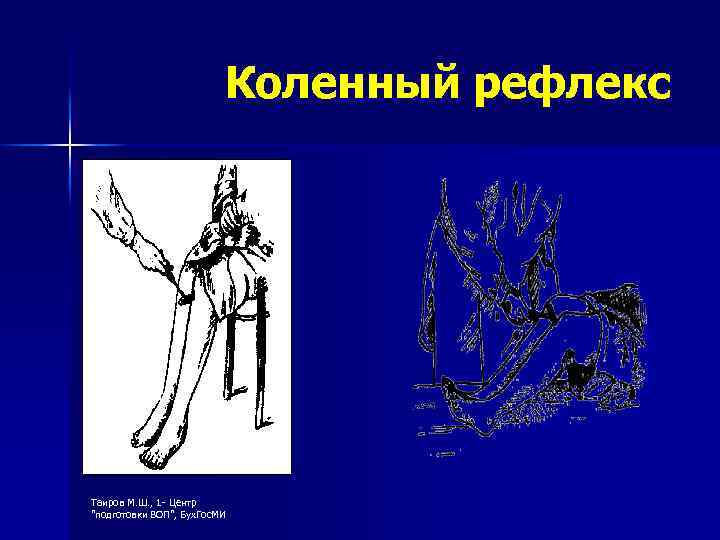 Коленный рефлекс Таиров М. Ш. , 1 - Центр 