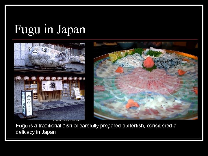 Fugu in Japan Fugu is a traditional dish of carefully prepared pufferfish, considered a