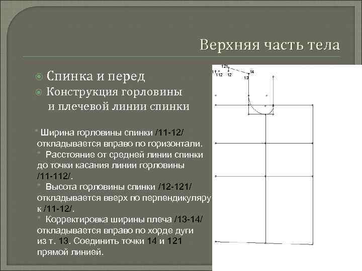 Верхняя часть тела Спинка и перед Конструкция горловины и плечевой линии спинки * Ширина