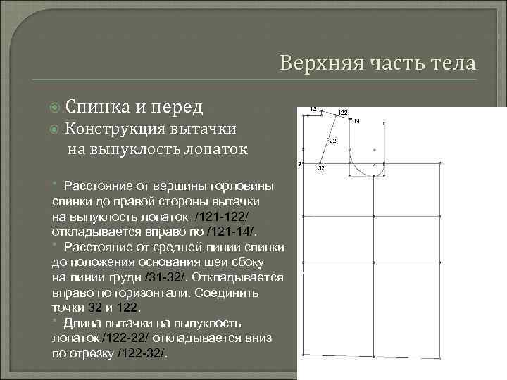 Верхняя часть тела Спинка и перед 121 Конструкция вытачки на выпуклость лопаток 14 22