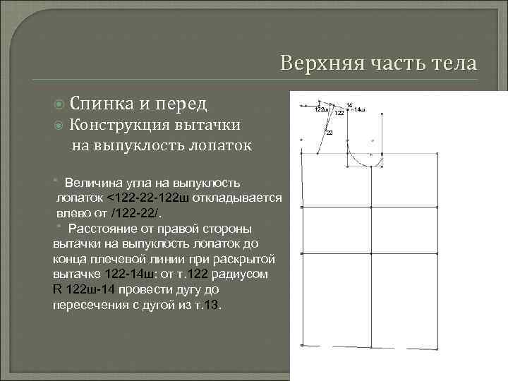 Верхняя часть тела Спинка и перед Конструкция вытачки на выпуклость лопаток * Величина угла