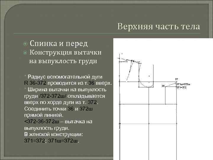 Верхняя часть тела Спинка и перед Конструкция вытачки на выпуклость груди * Радиус вспомогательной