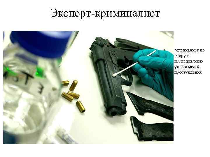 Эксперт-криминалист • специалист по сбору и исследованию улик с места преступления 