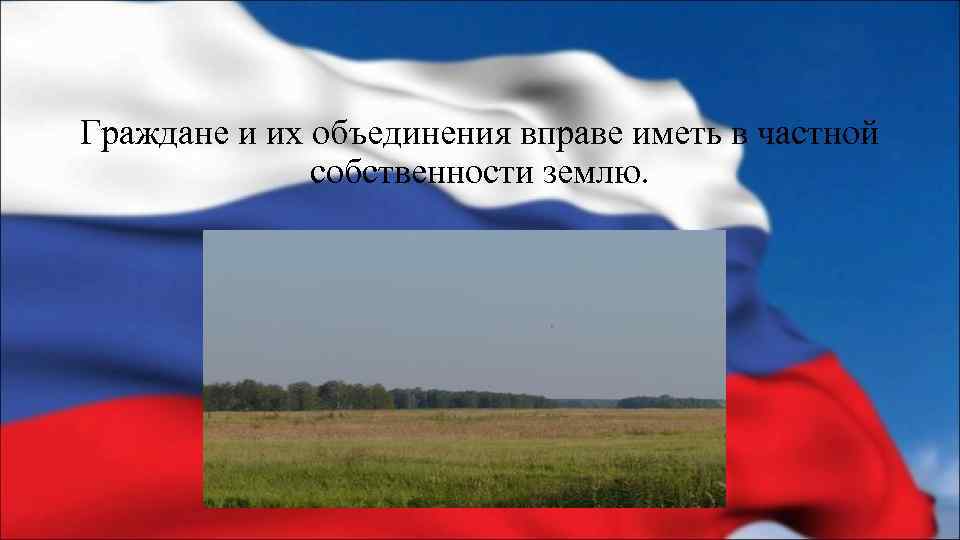 Граждане и их объединения вправе иметь в частной собственности землю. 