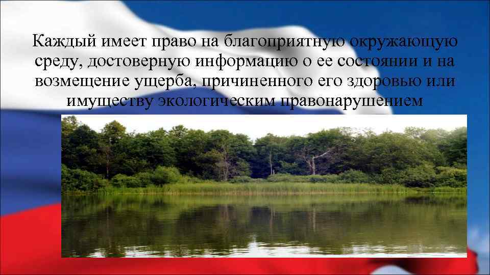 Каждый имеет право на благоприятную окружающую среду, достоверную информацию о ее состоянии и на