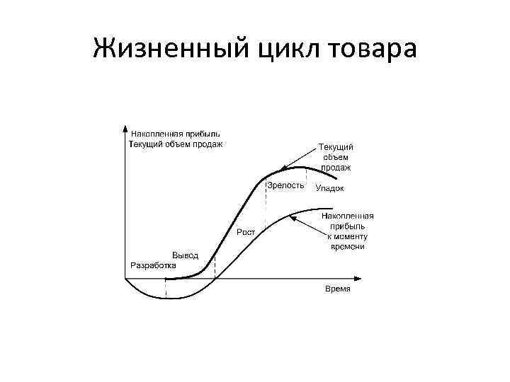 Политика жизненного цикла