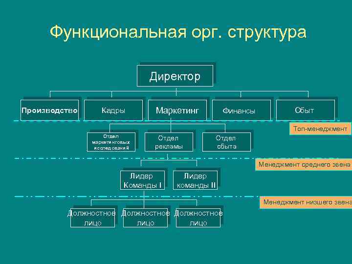 Какая структура является. Организационная структура компании по производству косметики. Организационная структура предприятия косметики. Организационная структура директор. Организационная структура директор отдел маркетинга.