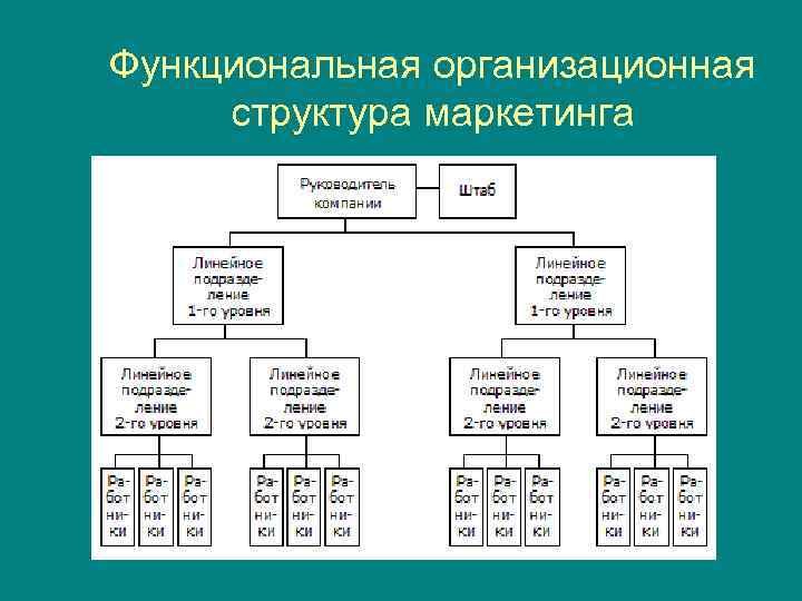 Организационная структура маркетинговой фирмы.
