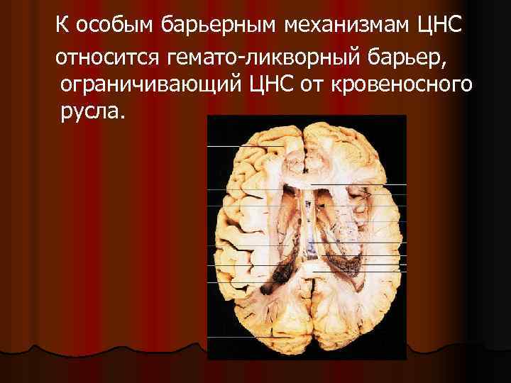 К особым барьерным механизмам ЦНС относится гемато-ликворный барьер, ограничивающий ЦНС от кровеносного русла. 
