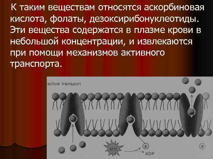 К таким веществам относятся аскорбиновая кислота, фолаты, дезоксирибонуклеотиды. Эти вещества содержатся в плазме крови
