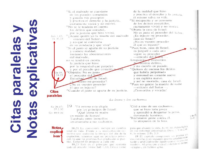 Citas paralelas y Notas explicativas Citas paralelas Notas explicat ivas 