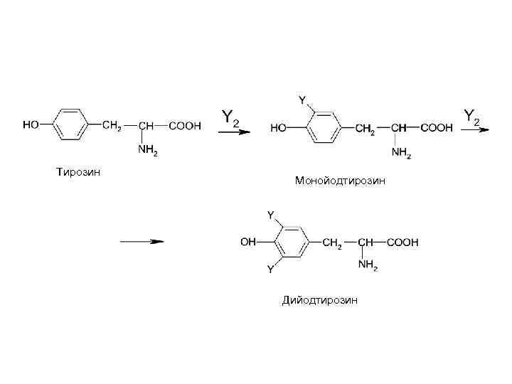Пэт с тирозином. Синтез тиреоидных гормонов из тирозина. Синтез монойодтирозина. Биосинтез йодтиронинов биохимия. Синтез йодтиронинов.