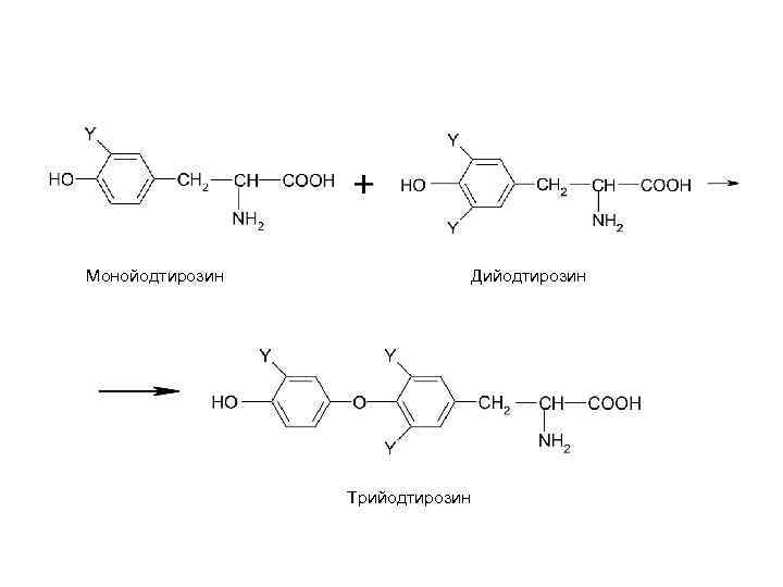 Синтез йодтиронинов схема