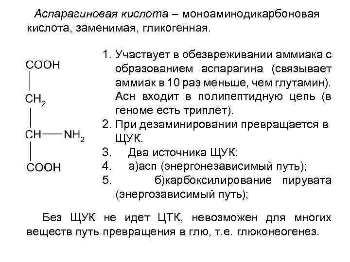 Аспарагиновая кислота – моноаминодикарбоновая кислота, заменимая, гликогенная. 1. Участвует в обезвреживании аммиака с образованием