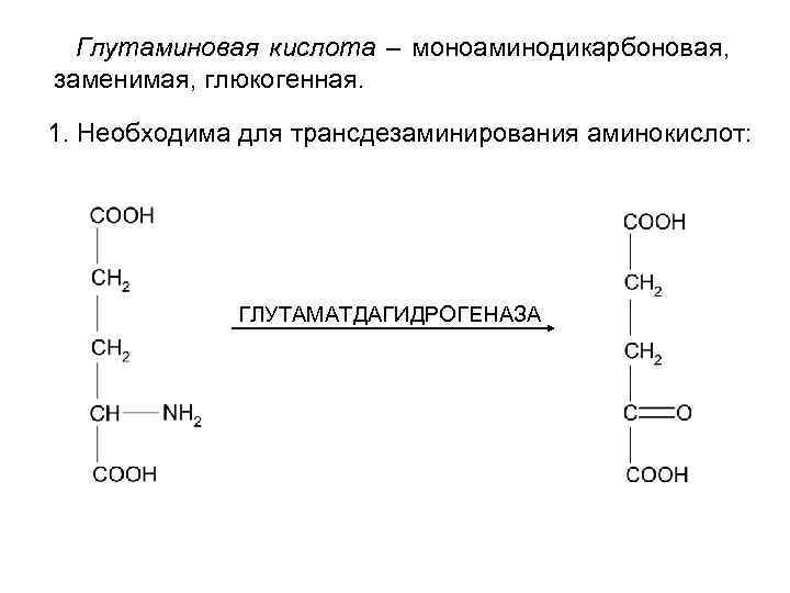 Глутаминовая кислота – моноаминодикарбоновая, заменимая, глюкогенная. 1. Необходима для трансдезаминирования аминокислот: ГЛУТАМАТДАГИДРОГЕНАЗА 