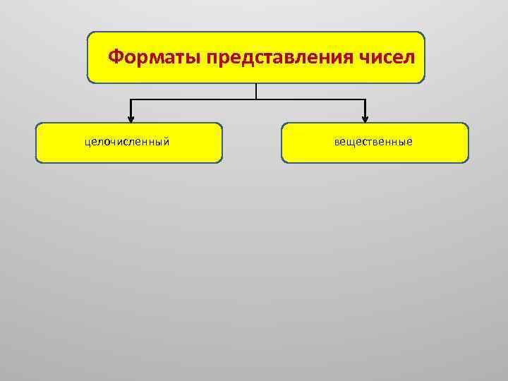 Форматы представления чисел целочисленный вещественные 