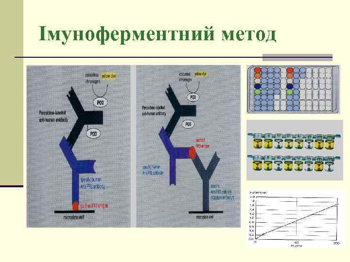 Імуноферментний метод 