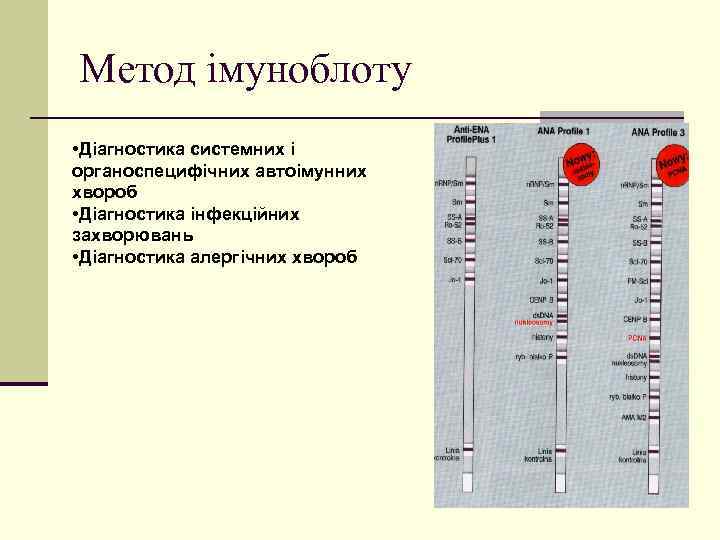 Метод імуноблоту • Діагностика системних і органоспецифічних автоімунних хвороб • Діагностика інфекційних захворювань •