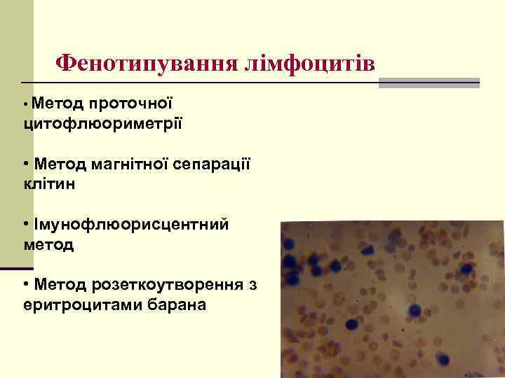 Фенотипування лімфоцитів • Метод проточної цитофлюориметрії • Метод магнітної сепарації клітин • Імунофлюорисцентний метод