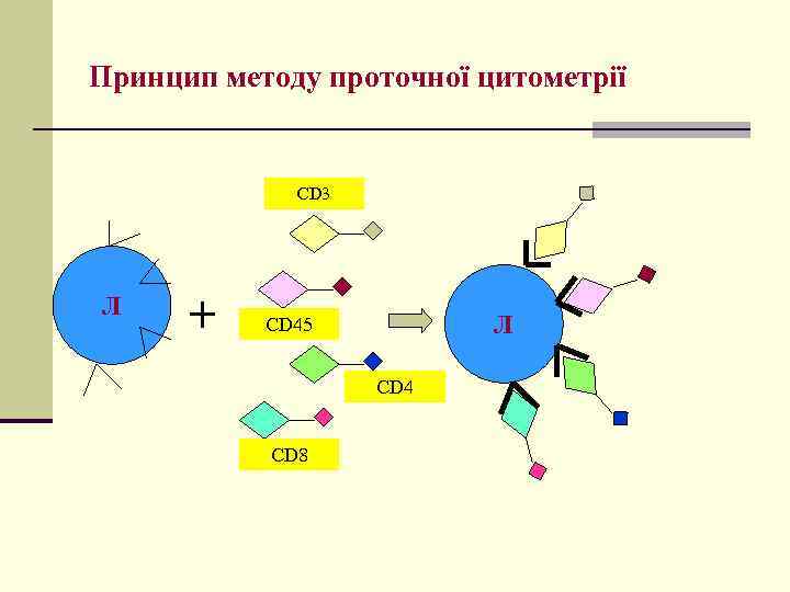 Принцип методу проточної цитометрії CD 3 Л Л CD 45 CD 4 CD 8