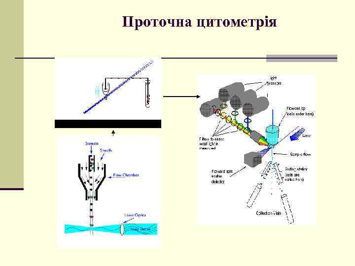 Проточна цитометрія 
