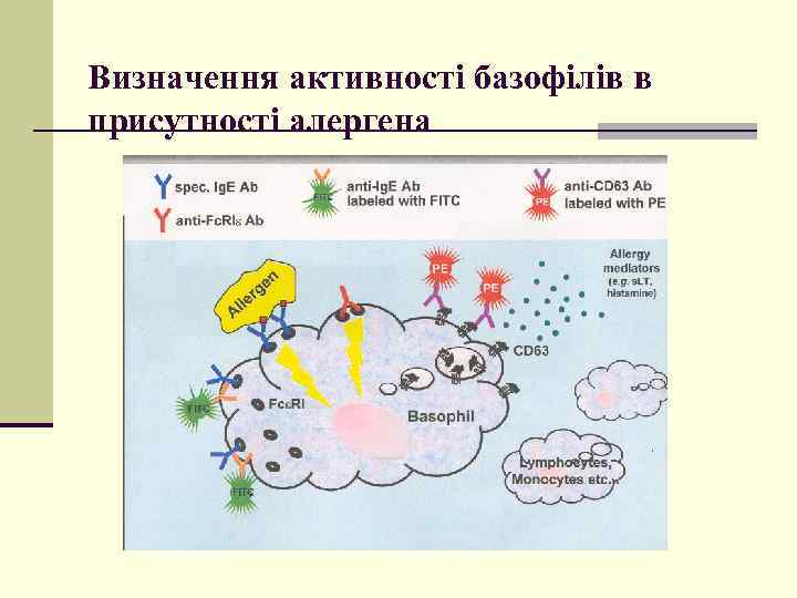 Визначення активності базофілів в присутності алергена 