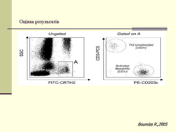 Оцінка результатів Boumiza R. , 2005 