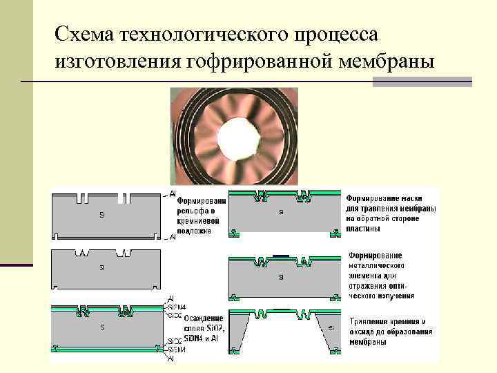 Гофрированная мембрана чертеж