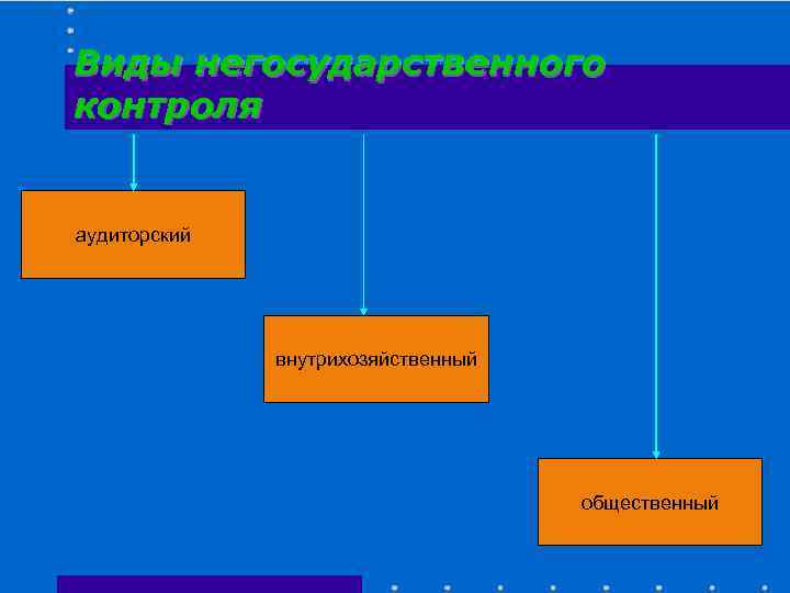 Виды негосударственного контроля аудиторский внутрихозяйственный общественный 