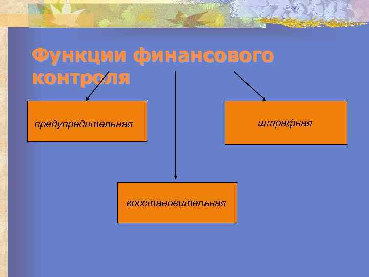 Функции финансового контроля предупредительная восстановительная штрафная 