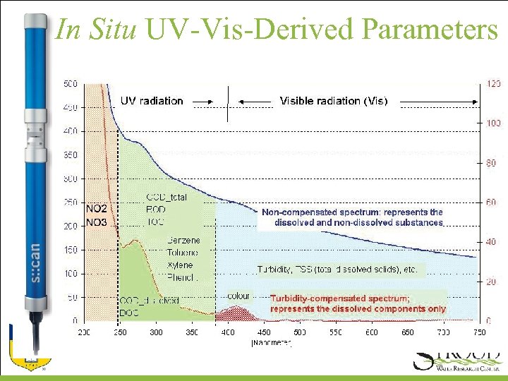 In Situ UV-Vis-Derived Parameters 