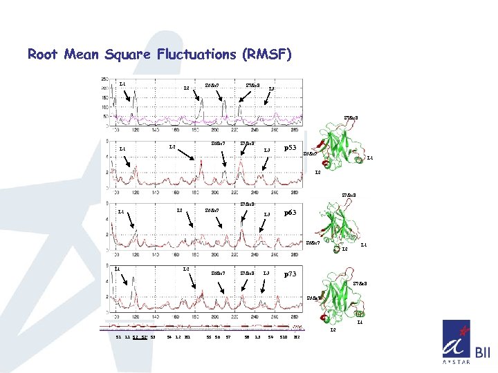 Root Mean Square Fluctuations (RMSF) L 1 L 2 S 6&s 7 S 7&s