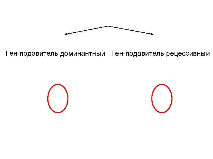 Ген-подавитель доминантный Ген-подавитель рецессивный 