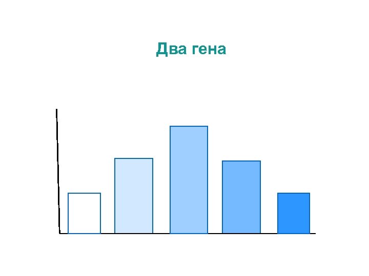 Два гена 