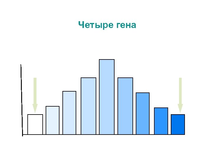 Четыре гена 