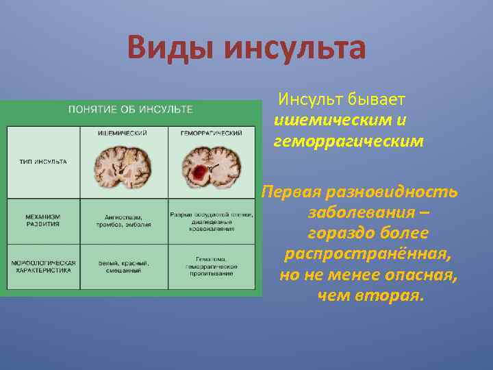 Виды инсульта Инсульт бывает ишемическим и геморрагическим Первая разновидность заболевания – гораздо более распространённая,