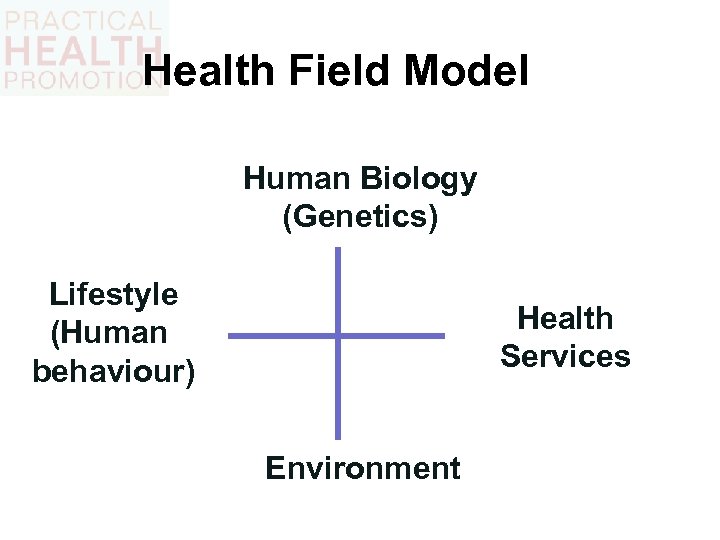 Health Field Model Human Biology (Genetics) Lifestyle (Human behaviour) Health Services Environment 