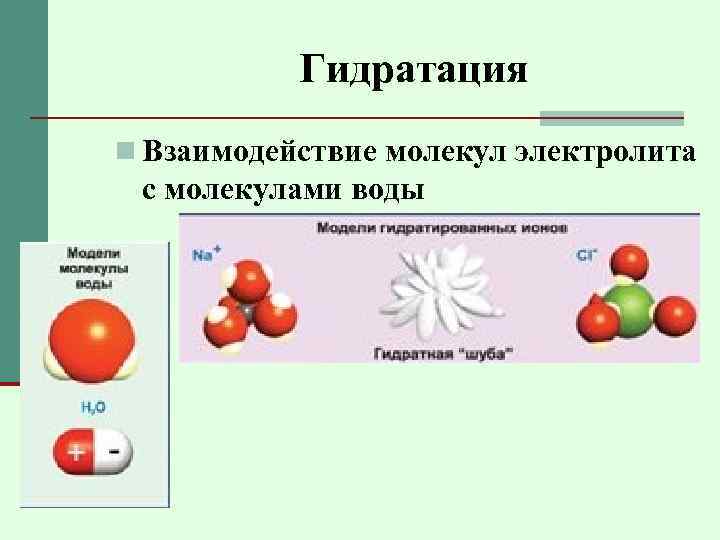 Гидратация n Взаимодействие молекул электролита с молекулами воды 