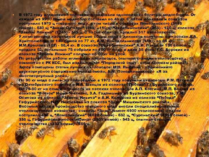  В 1972 году иглинские пчеловоды порадовали односельчан богатым медосбором. От каждой из 9900