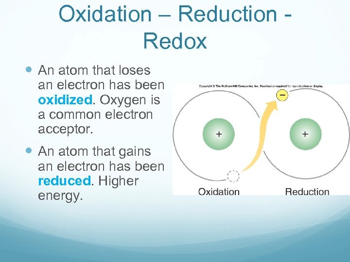 Oxidation – Reduction Redox An atom that loses an electron has been oxidized. Oxygen