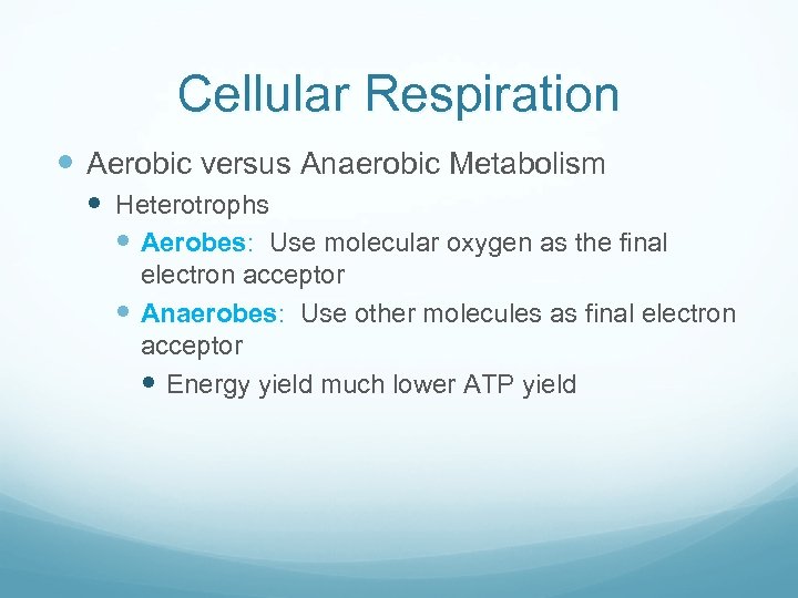 Cellular Respiration Aerobic versus Anaerobic Metabolism Heterotrophs Aerobes: Use molecular oxygen as the final