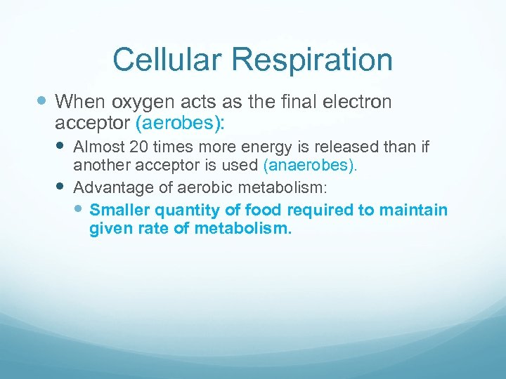 Cellular Respiration When oxygen acts as the final electron acceptor (aerobes): Almost 20 times