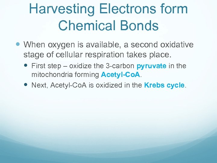 Harvesting Electrons form Chemical Bonds When oxygen is available, a second oxidative stage of