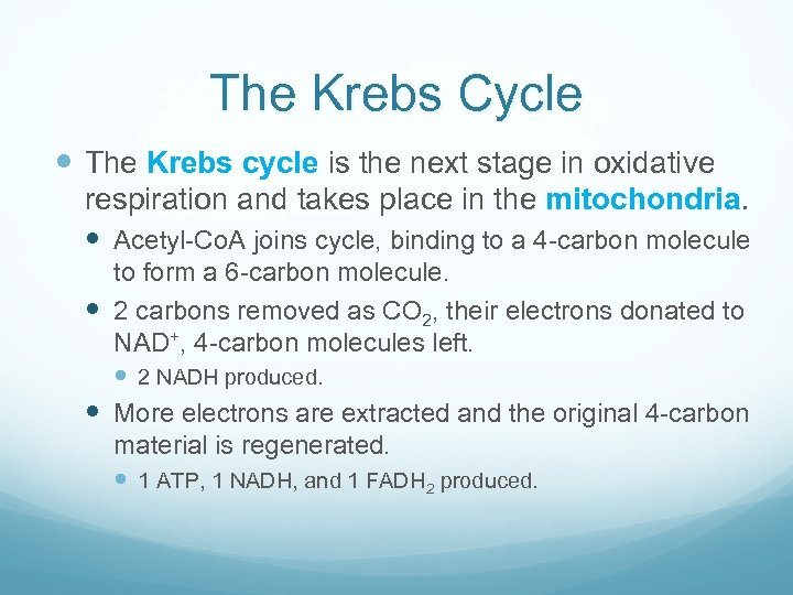 The Krebs Cycle The Krebs cycle is the next stage in oxidative respiration and