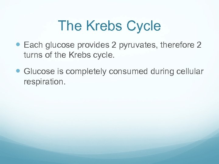 The Krebs Cycle Each glucose provides 2 pyruvates, therefore 2 turns of the Krebs