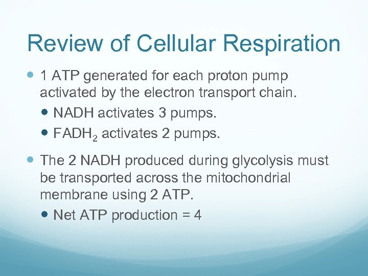 Review of Cellular Respiration 1 ATP generated for each proton pump activated by the