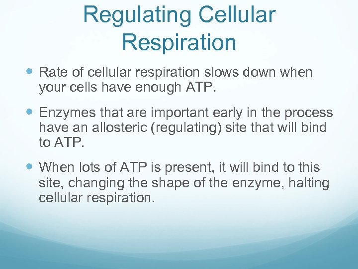 Regulating Cellular Respiration Rate of cellular respiration slows down when your cells have enough